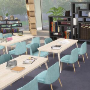College's Library By Venus Song